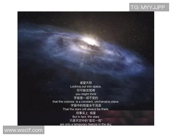 昙花一现的足球天才：从巅峰到沉寂的传奇之路